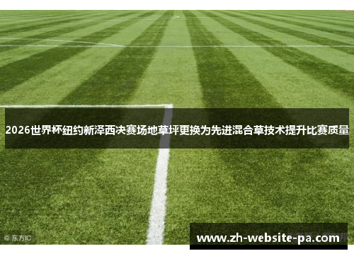 2026世界杯纽约新泽西决赛场地草坪更换为先进混合草技术提升比赛质量 2026世界杯纽约新泽西决赛场地草坪更换为先进混合草技术提升比赛质量
